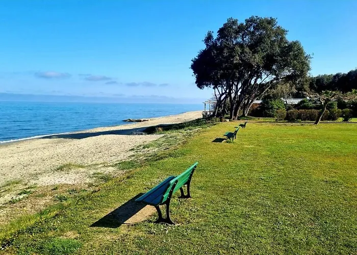 Maison U Nidu A 500M De La Mer