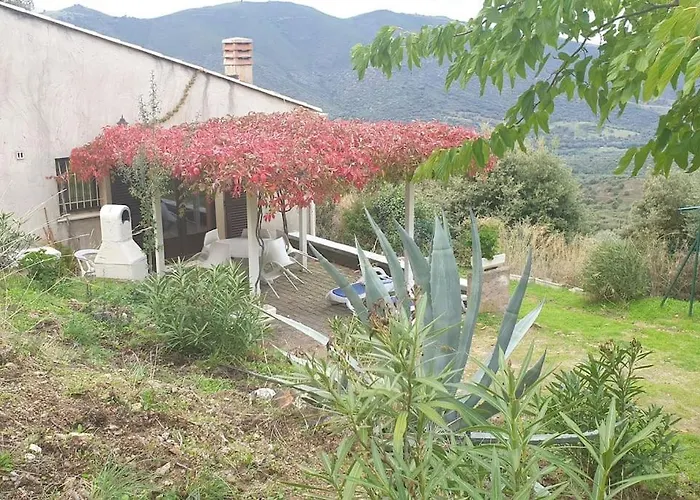 Vos Vacances A Lama France Corse